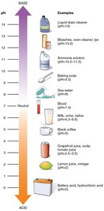 pH scale with examples