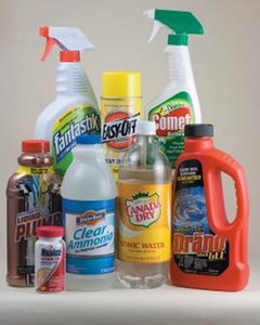Common household bases