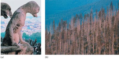 Damage from acid rain