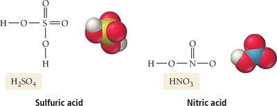 Sulfuric acid and nitric acid molecular models