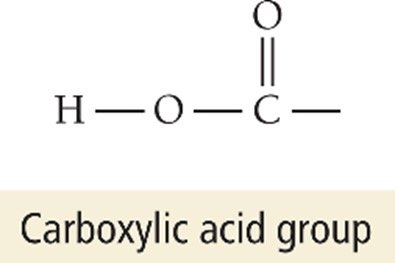 Carboxylic acid group structure