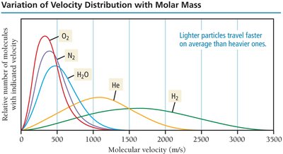 Velocity distribution with molar mass