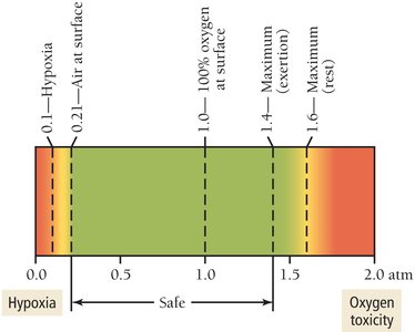 Safe range of oxygen partial pressure