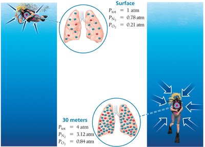 Partial pressures at surface and underwater