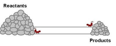 Dynamic equilibrium illustration with reactants and products