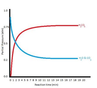 Graph of partial pressures showing equilibrium establishment