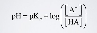 Henderson-Hasselbalch equation