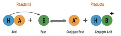 Acid-base reaction showing conjugate pairs