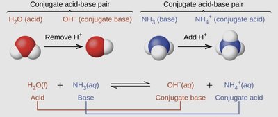 Conjugate acid-base pairs with molecular models