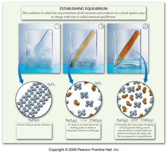 Establishing equilibrium with N2O4 and NO2, showing color and molecular changes as equilibrium is approached