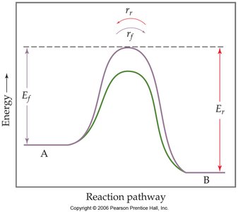 Energy diagram showing effect of catalyst on activation energy