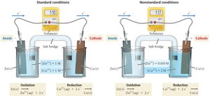 Standard vs. nonstandard cell conditions