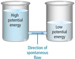 Standard hydrogen electrode (SHE)