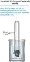 Measuring half-cell potential with SHE