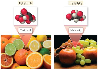 Citric acid and malic acid in fruits