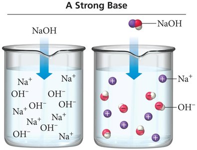 Strong base dissociation in water
