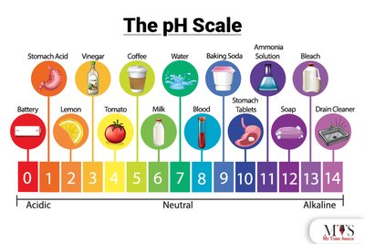 The pH scale with common substances