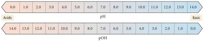 The pOH scale