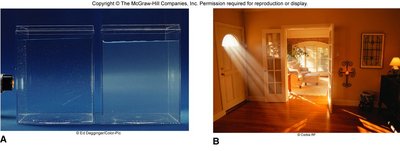 Tyndall effect: light scattering in colloids