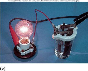 Conductivity apparatus with electrolyte solution