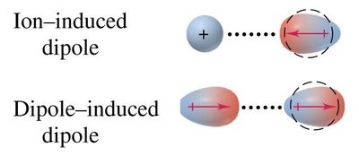 Ion-induced dipole and dipole-induced dipole models