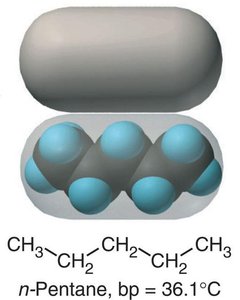 n-Pentane molecular model