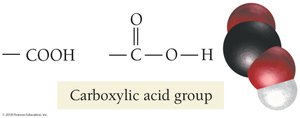Carboxylic acid group