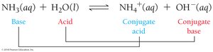 Brønsted–Lowry acid-base reaction with NH3 and H2O