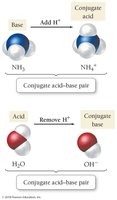 Conjugate acid-base pair illustration