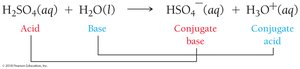 Identifying acids, bases, and conjugates