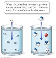 NH3 partial ionization