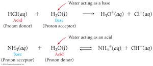 Self-ionization of water