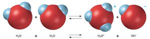 Water acting as acid and base