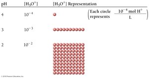 pH scale representation