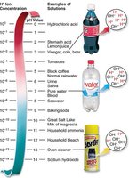 pH scale color chart