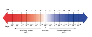 pH scale with examples