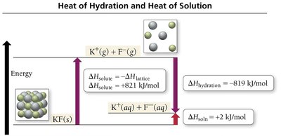Heat of hydration and heat of solution diagram