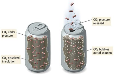 CO2 solubility in soda can