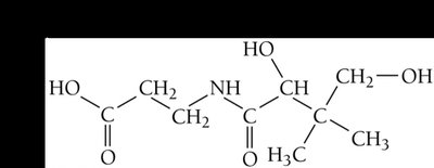 Structure of vitamin B5 (water soluble)
