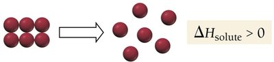Separation of solute particles is endothermic
