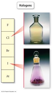 Halogens group and samples