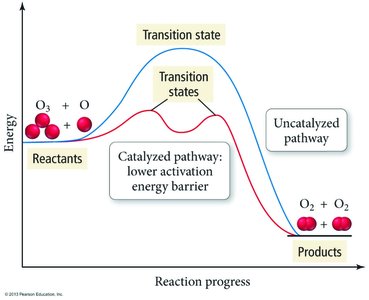 Catalyzed vs. uncatalyzed reaction energy profile