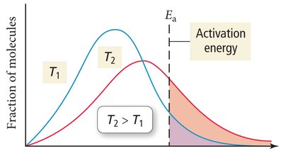 Distribution of molecular energies at different temperatures