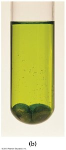 Nickel and hydrochloric acid after reaction, showing green solution and bubbles