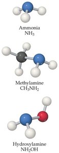 Structures of ammonia, methylamine, and hydroxylamine