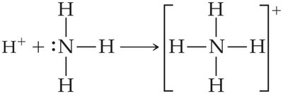 Protonation of ammonia