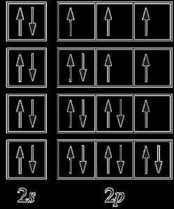 Electron-in-box diagrams for N, O, F, Ne