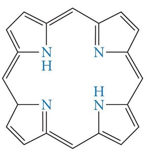 Structure of porphyrin ring