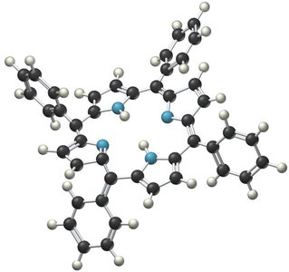 Structure of a biomolecule with coordination sites