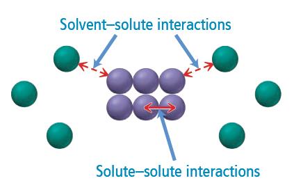 Diagram showing solute-solute and solvent-solute interactions